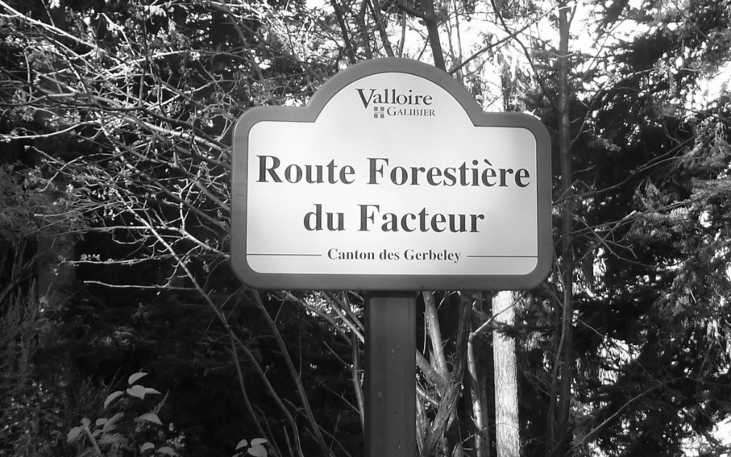 #4 Un sentier aurait été préféré Un sentier aurait été préféré