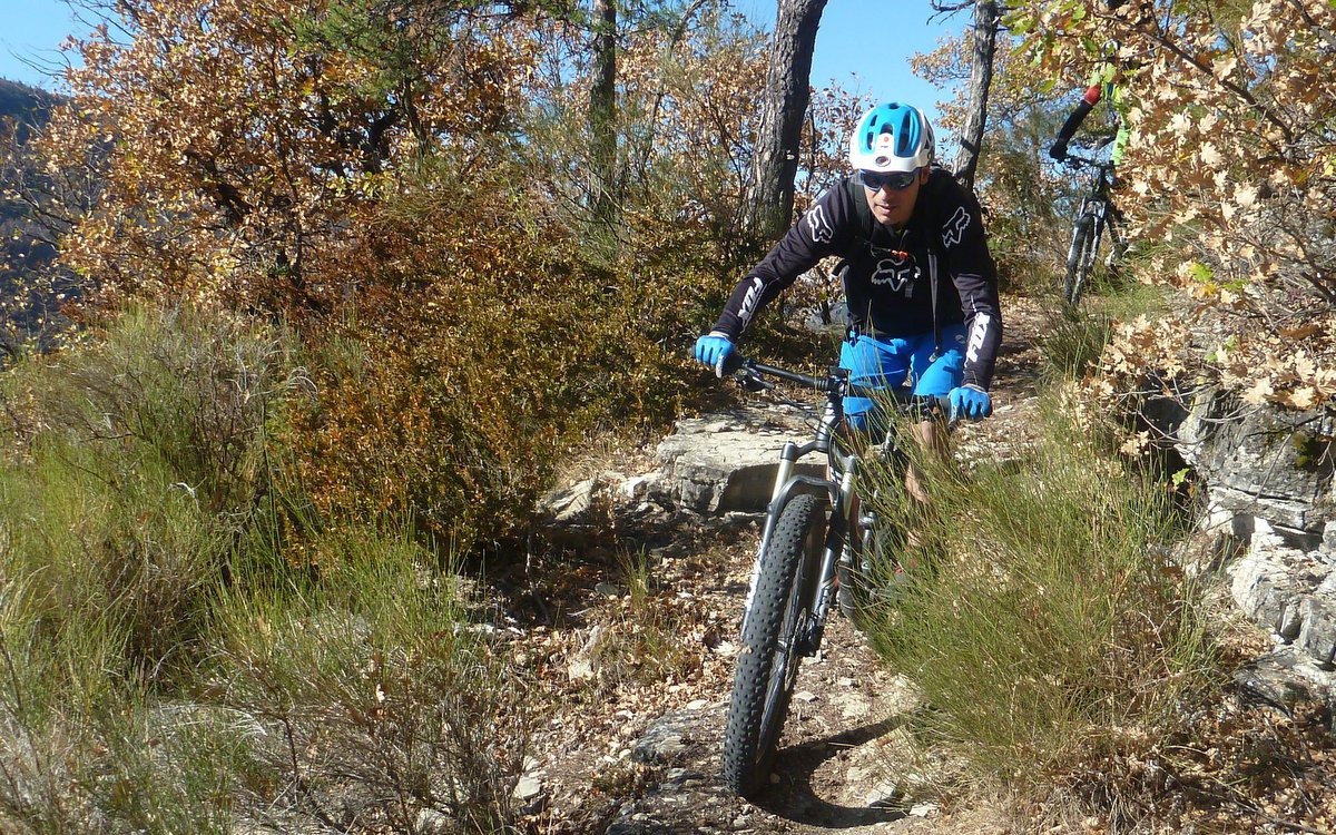 Sylvain dans Serre la Souche