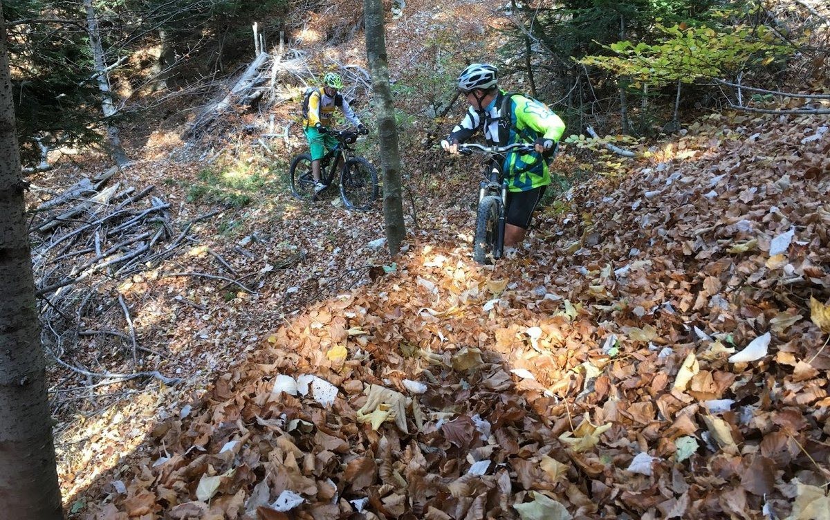 tapis de feuilles dans la montée du col de la Péyère