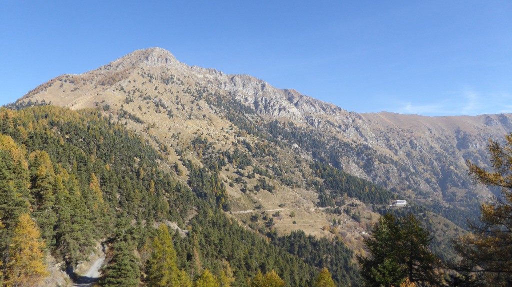 Le sommet du jour (Monte Saccarello)