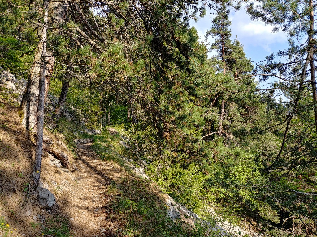 Montée au Reray : manque les cigales