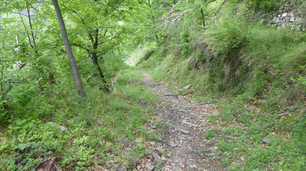 #17 Descente sur Buggio (partie pas trop cassante) Descente sur Buggio (partie pas trop cassante)