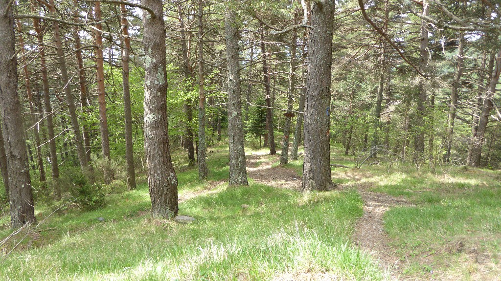 Départ du sentier