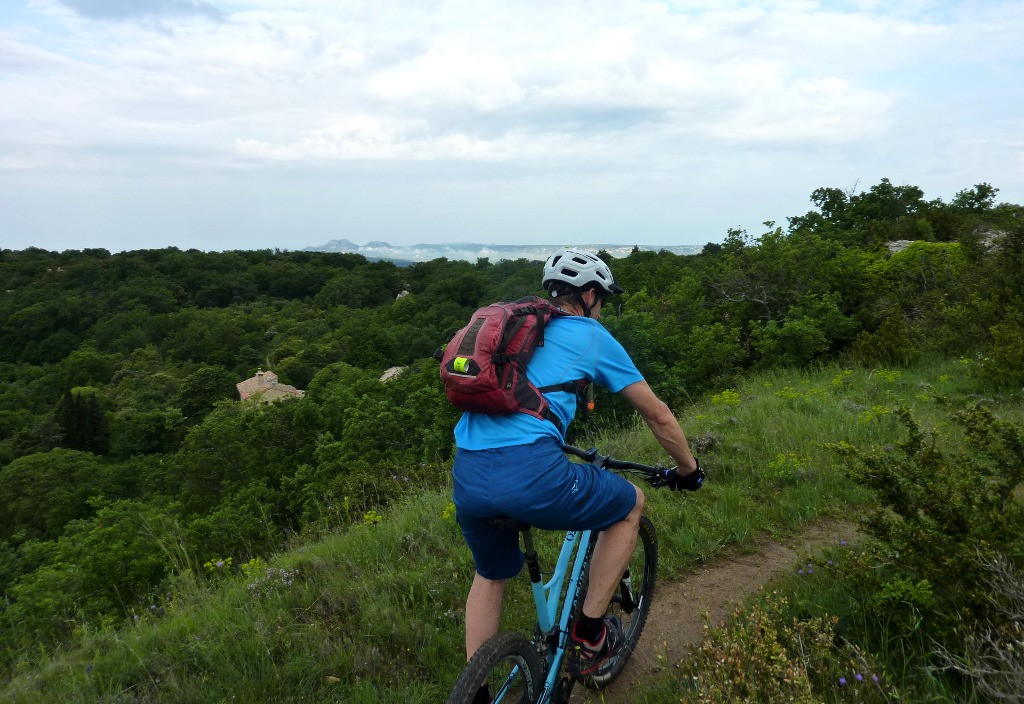 Les Alpilles tout au fond