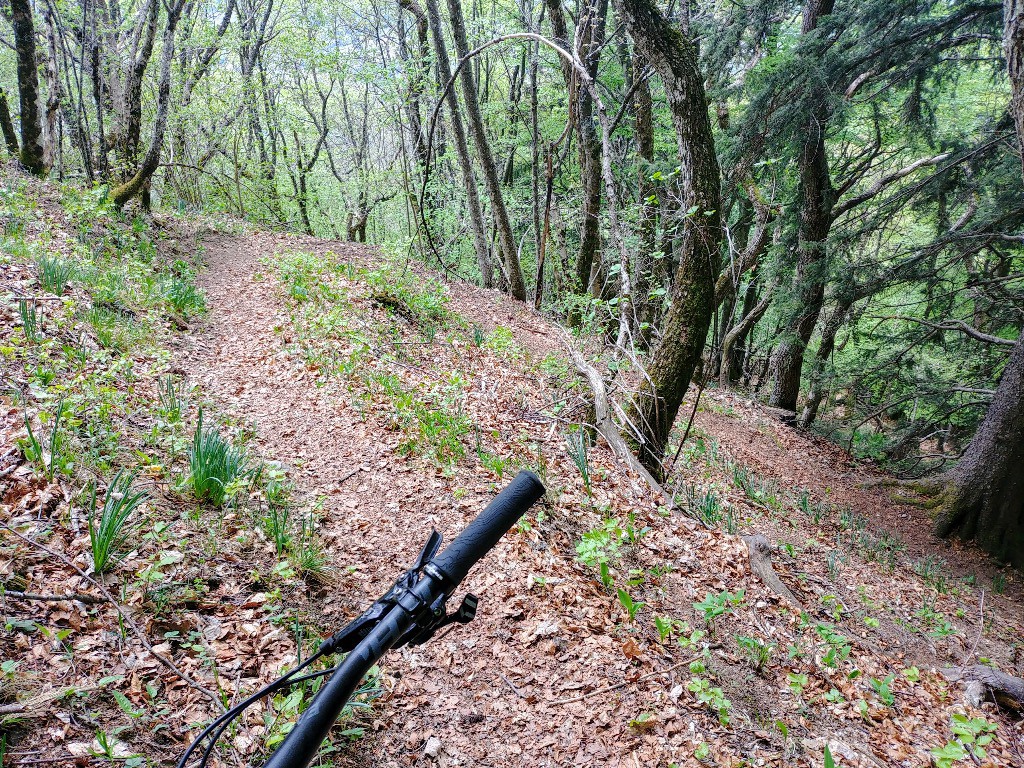 #12 Bien tracé Bien tracé