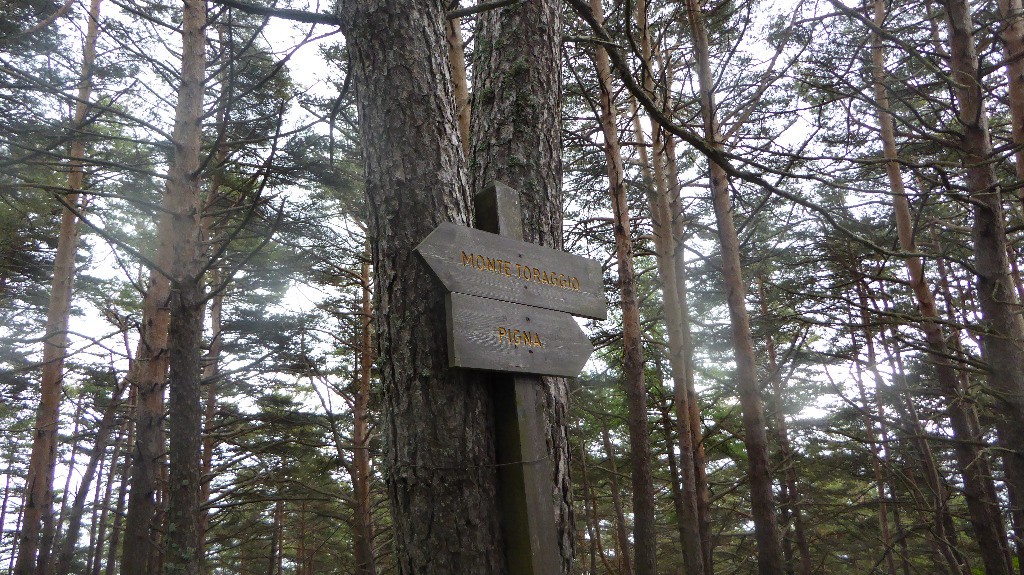 #21 Panneautage bien utile pour ne pas sortir le GPS Panneautage bien utile pour ne pas sortir le GPS