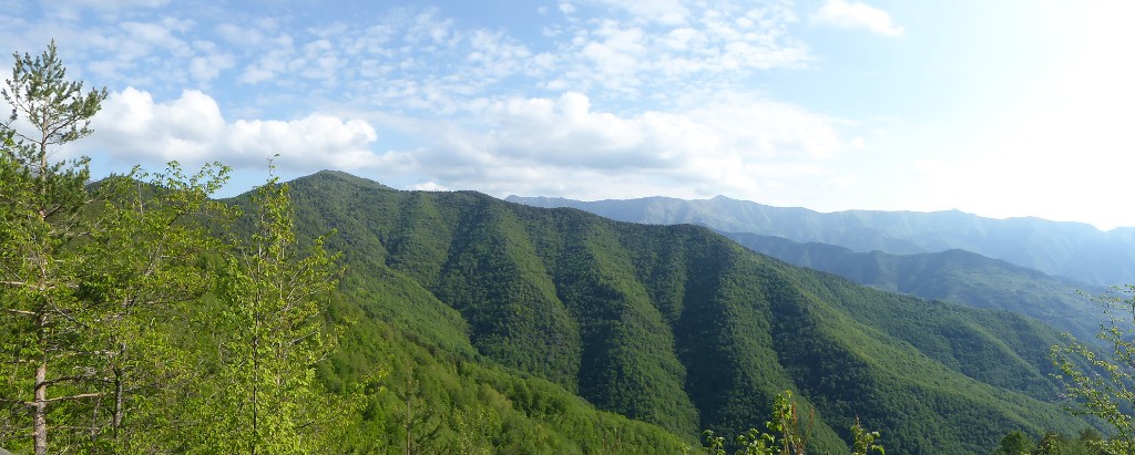 Ligne de crête au dessus de Triora