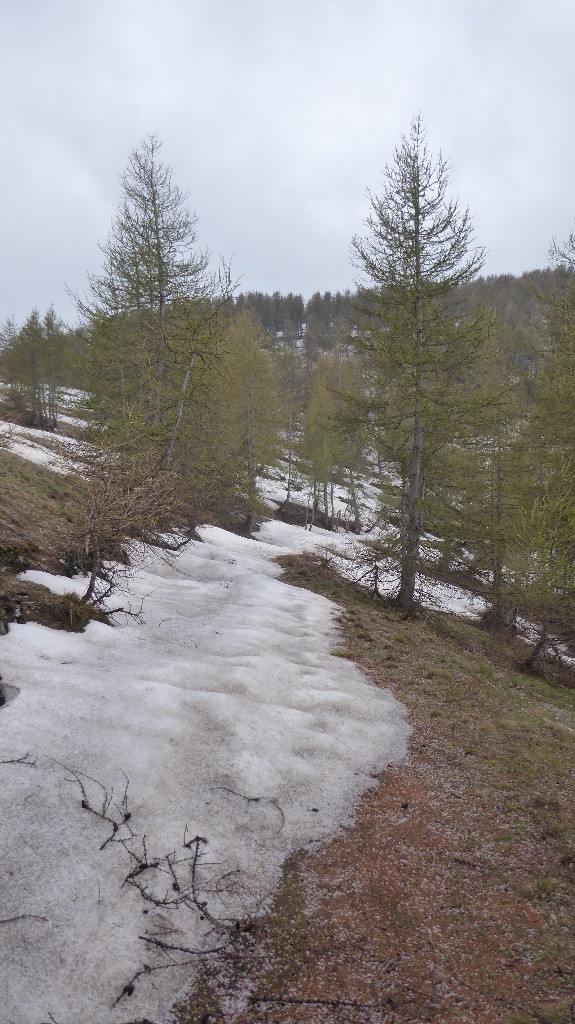 La neige gêne le passage