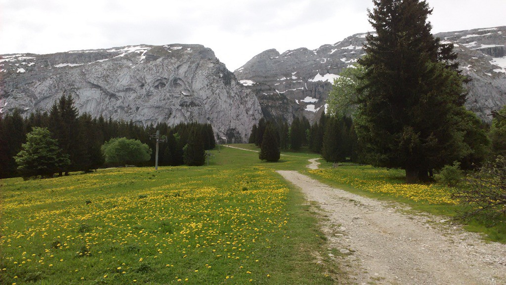 Belle journée sous le Bargy