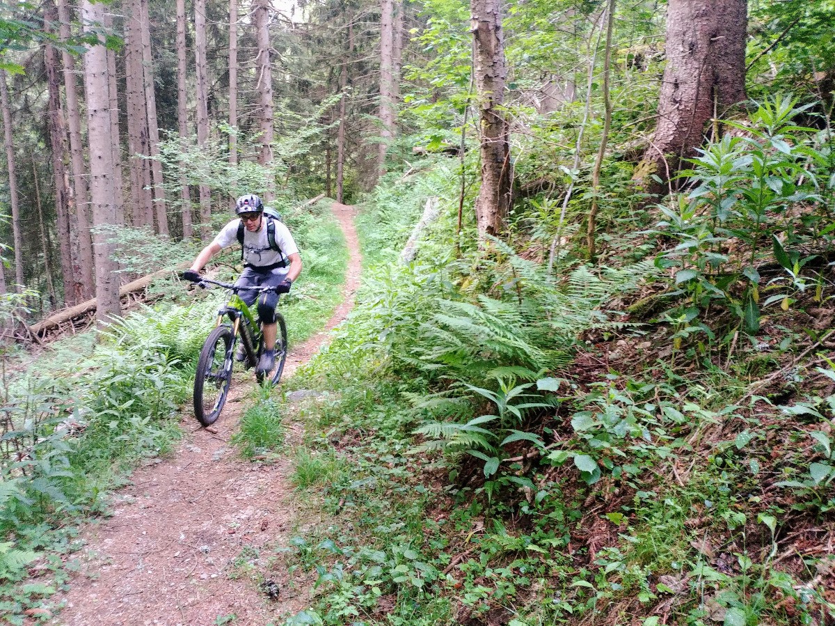 #5 Montée au Mt Borrel : par un joli sentier, mais bien raidos dans l Montée au Mt Borrel : par un joli sentier, mais bien raidos dans l'ensemble