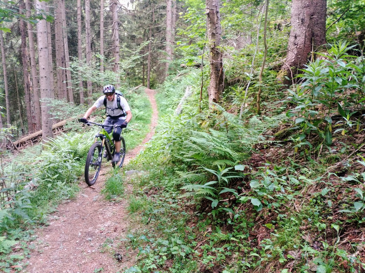 Montée au Mt Borrel : par un joli sentier, mais bien raidos dans l'ensemble