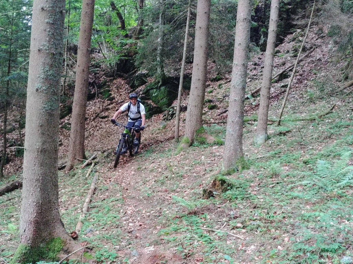 #8 Le nouveau sentier du Mt Borrel Le nouveau sentier du Mt Borrel