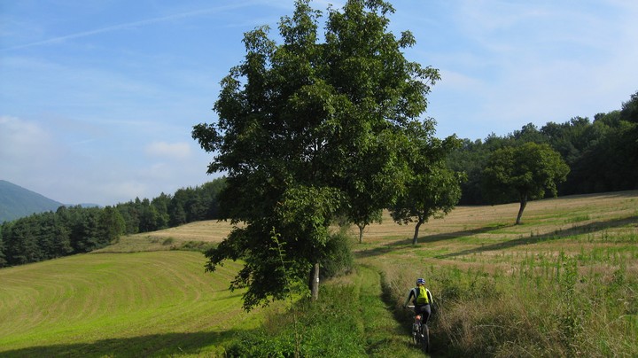 #12 campagne : Avant la bonne descente sur le pont de Cognet campagne : Avant la bonne descente sur le pont de Cognet