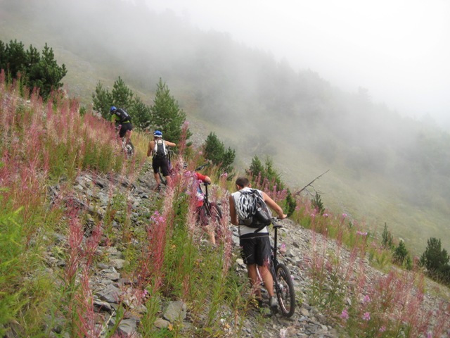 Brouillard nous voilà ! : Un Coiro sans brouillard n'est pas un vrai Coiro !