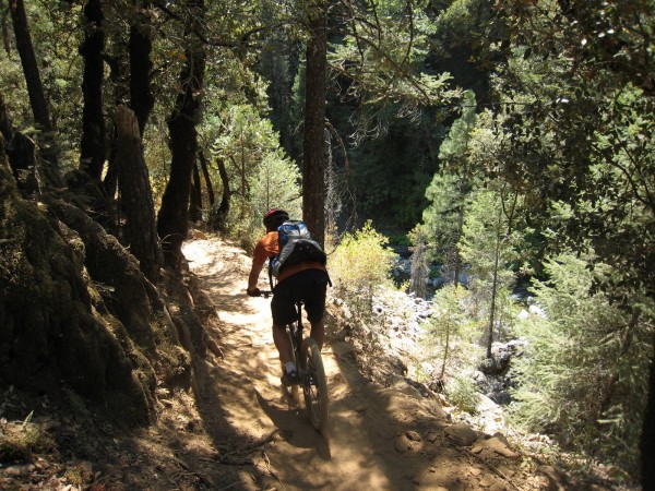 #2 Downieville Downhill : Du single ludique en sous-bois Downieville Downhill : Du single ludique en sous-bois