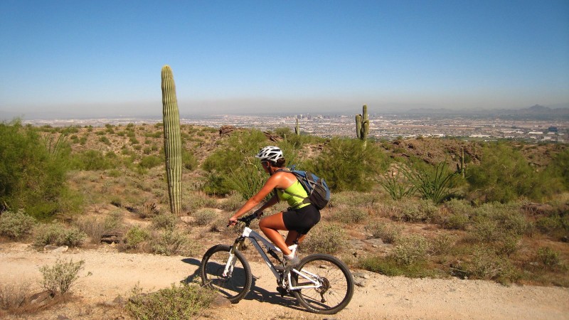 #1 National Trail : Parcours panoramique au milieu des cactus avec vue sur Phoenix National Trail : Parcours panoramique au milieu des cactus avec vue sur Phoenix