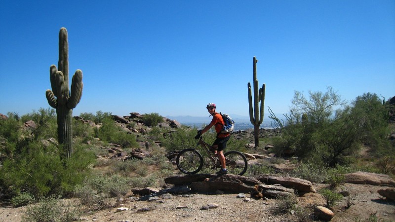 #2 Cactus : Pause au milieu des cactus Cactus : Pause au milieu des cactus