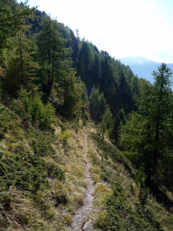 #7 Descente sur Evoléne : La joli sentier entre l Descente sur Evoléne : La joli sentier entre l'A Vieille et Evolène. Je lui décerne un Queyras d'or.