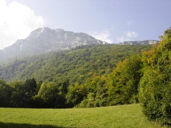 #2 Moucherotte : Face nord est de Moucherotte et la forêt en voie de transformation. Moucherotte : Face nord est de Moucherotte et la forêt en voie de transformation.