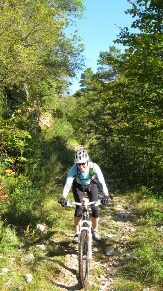 #4 Descente sur Borne : Joli sentier Descente sur Borne : Joli sentier