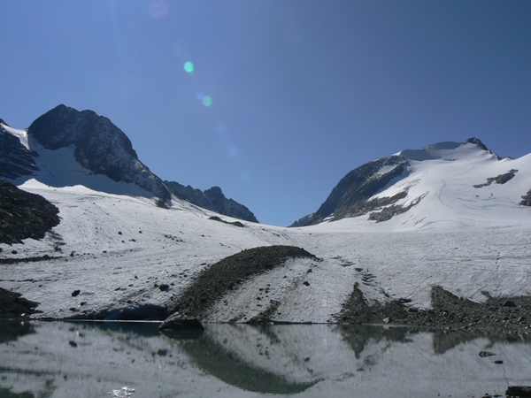 etandard-sauvage : le glacier de st sorlin
