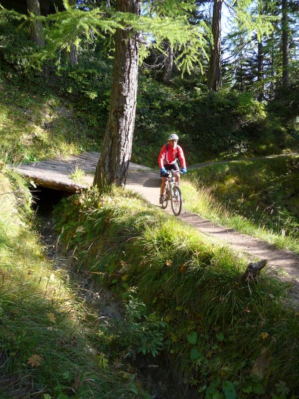 #10 Descente sur Rosswald : Bisse de Rosswald Descente sur Rosswald : Bisse de Rosswald