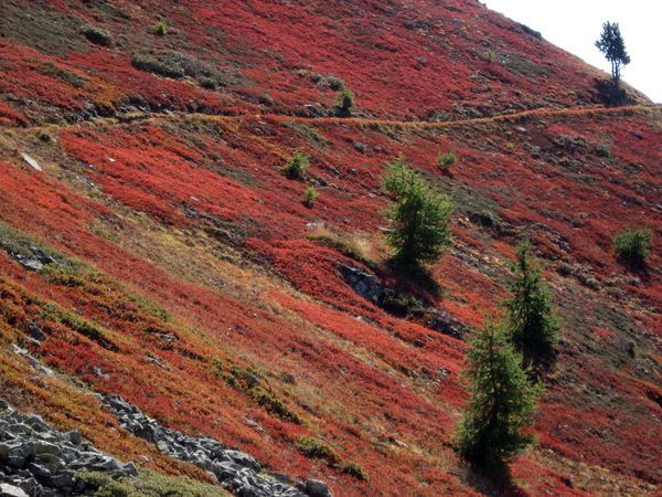 Les Chambrettes : LA photo du Raid