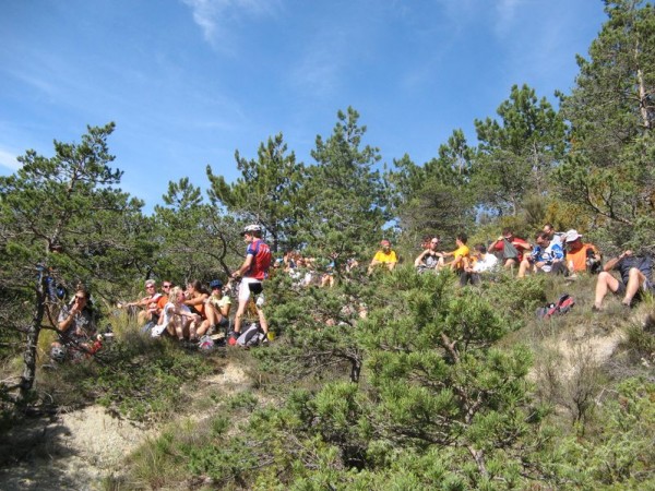 Col de l'Abbaye : Pique-nique entre les pins