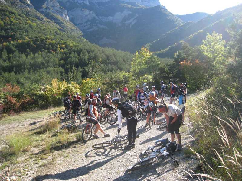 Col de l'abbaye : Le troupeau dans la montée