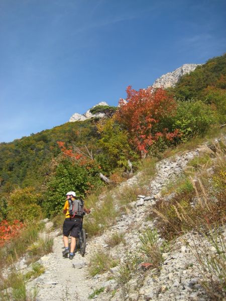 Automne ! : On préfère ça aux photos de samedi matin