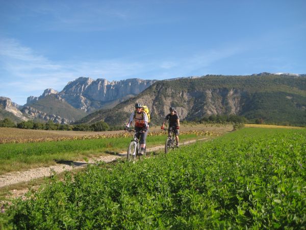 Bucolique : Dans les champs vers Laval d'Aix