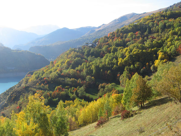 #6 Retour aux Aymes : Le terrain redevient paisible Retour aux Aymes : Le terrain redevient paisible