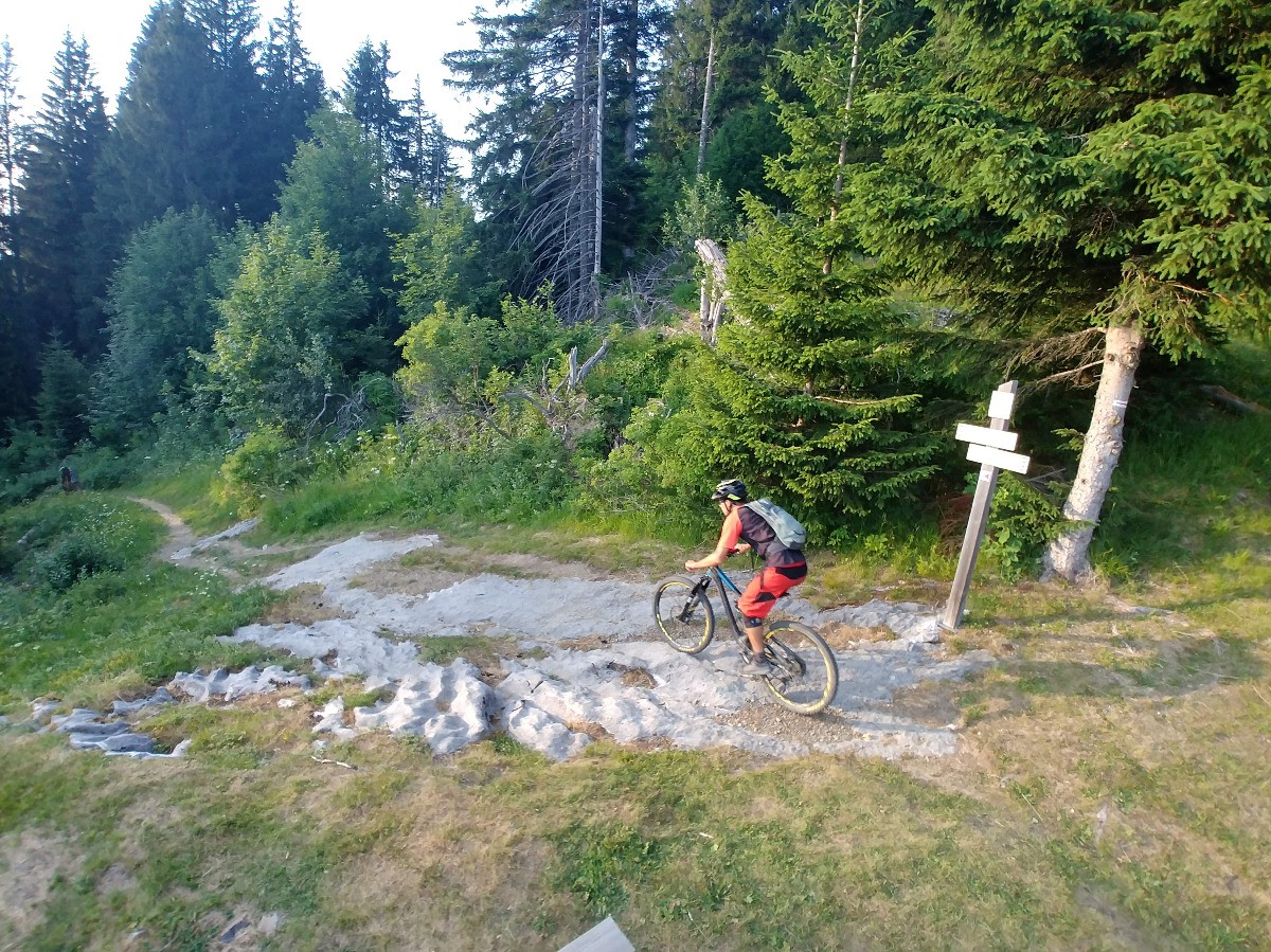 Sur le sentier vers Charbotaz