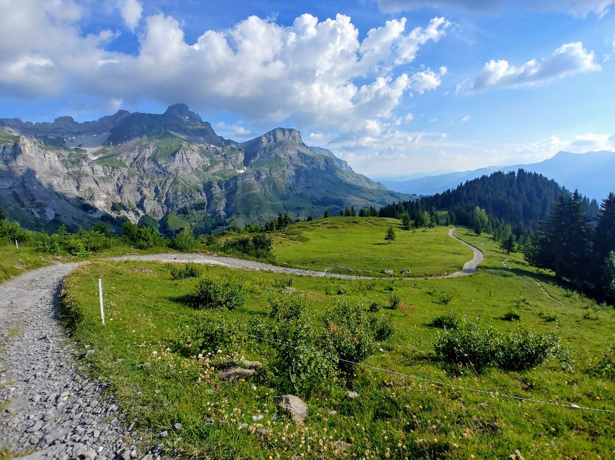 #2 Après 300m de D avec du poussage, la piste de Tête noire est magnifique et roulante ensuite Après 300m de D avec du poussage, la piste de Tête noire est magnifique et roulante ensuite