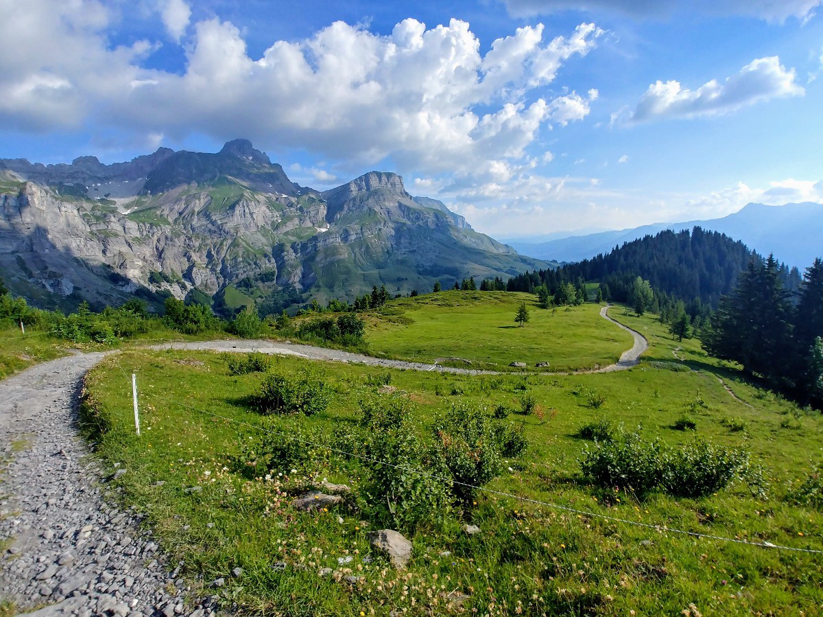 Après 300m de D  avec du poussage, la piste de Tête noire est magnifique et roulante ensuite