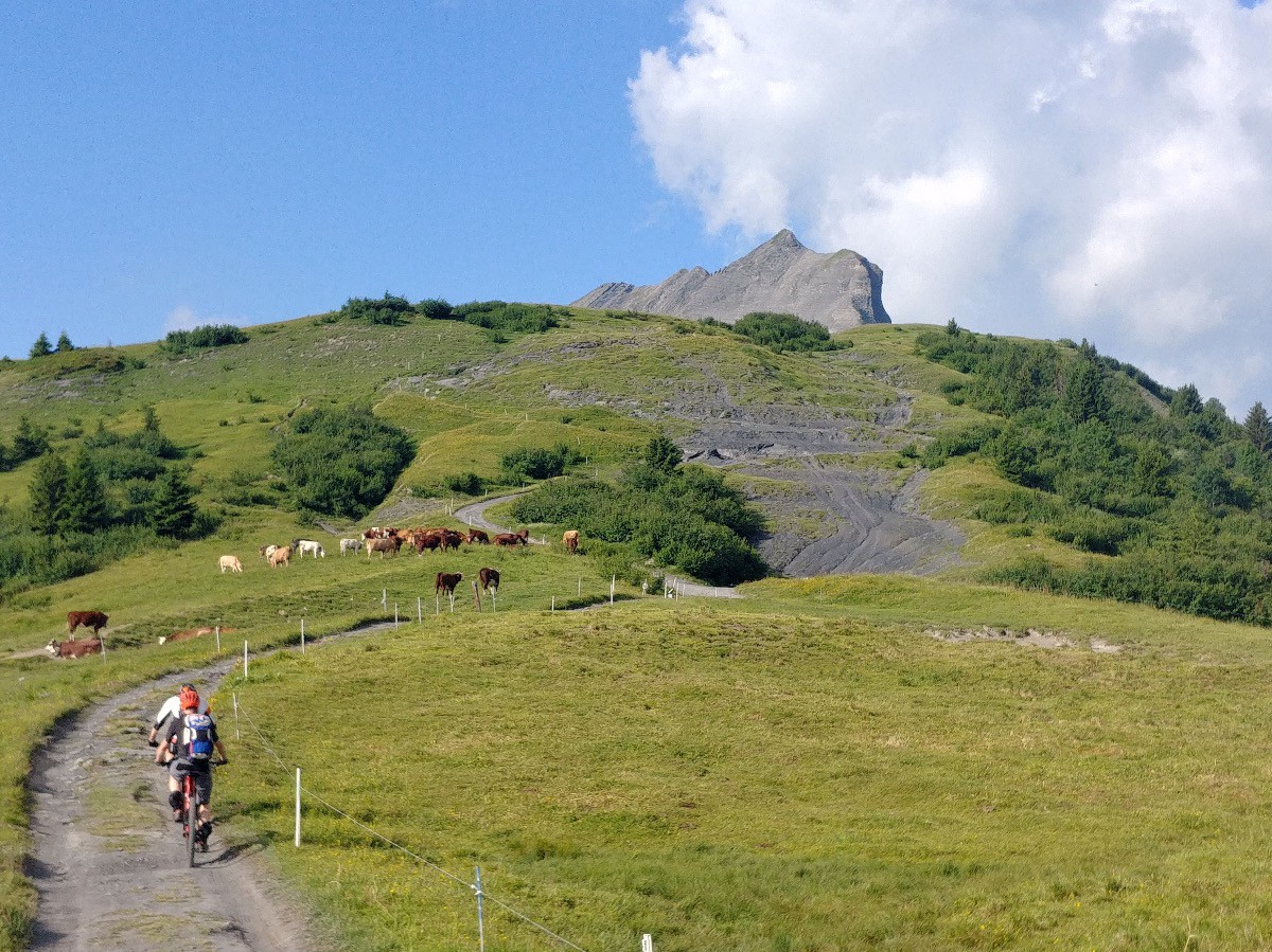 Ambiance d'alpage après les Bénés