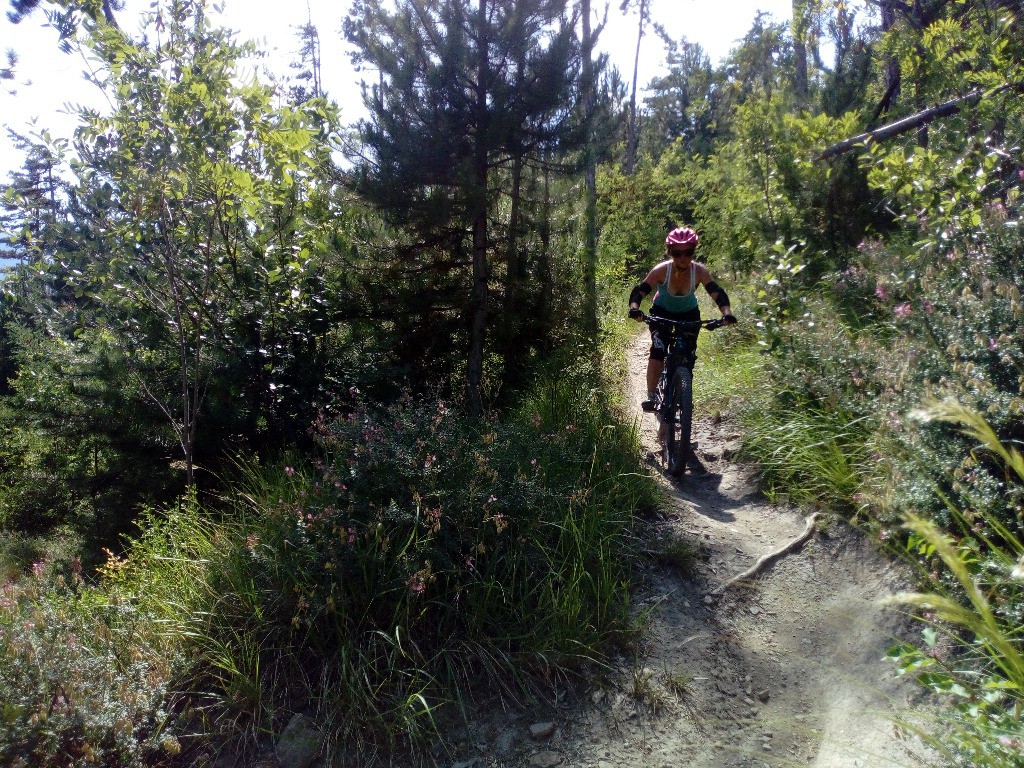 Chemin lisse de la descente de Puy Sanières