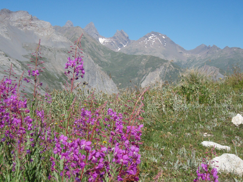 Aiguilles d'Arve sur fond de rose (spéciale dédicasse à André ;-)