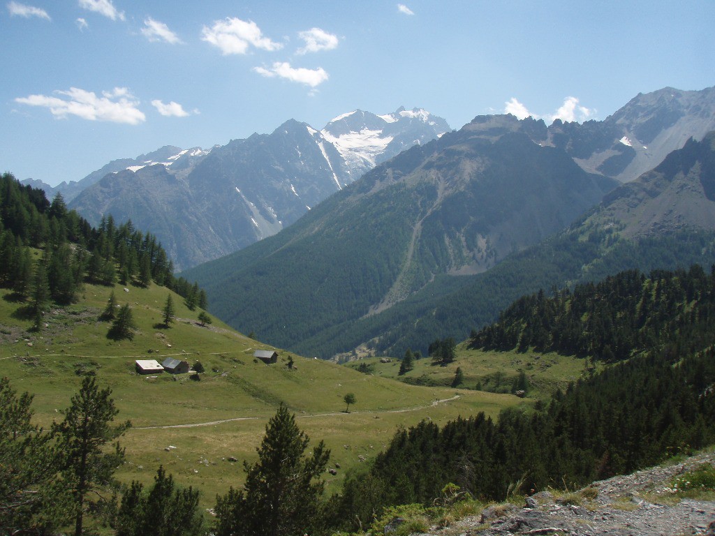 Alpage & Agneaux (quand on prend le très bon chemin du Roy)