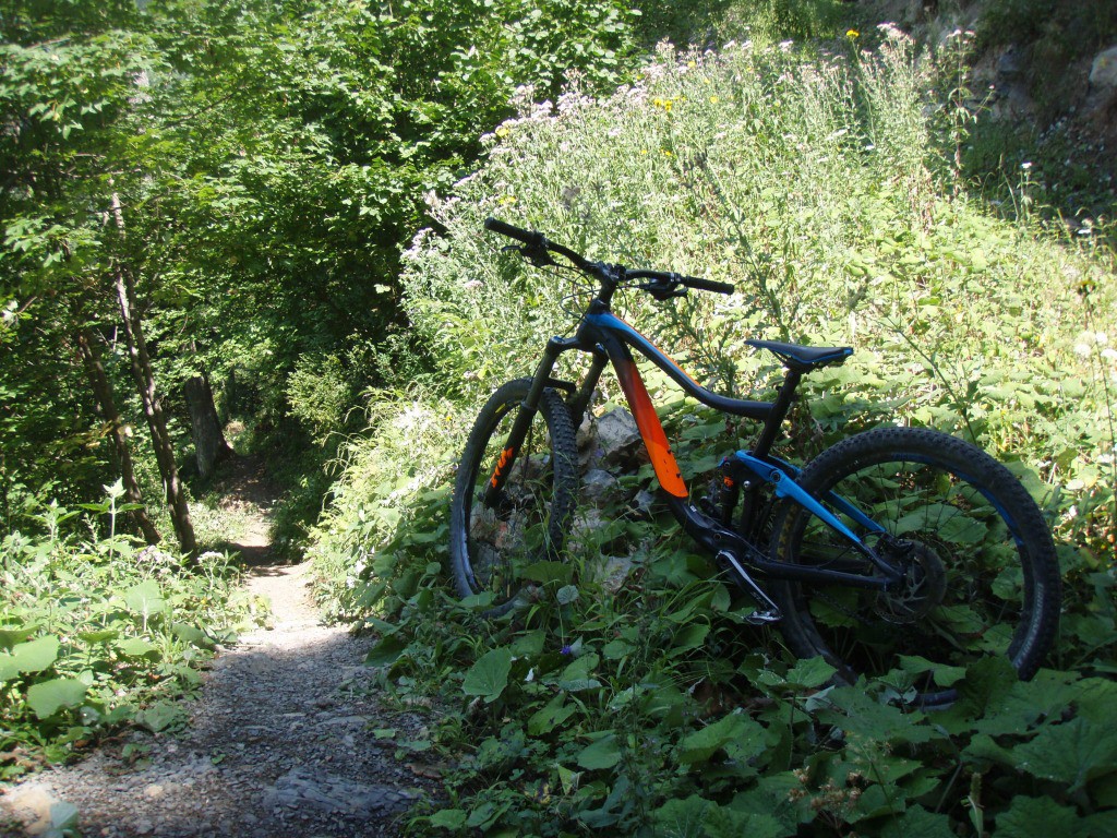 Fin de la descente en forêt