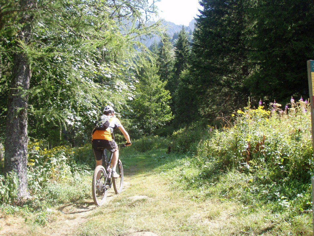 Début du sentier Gobert