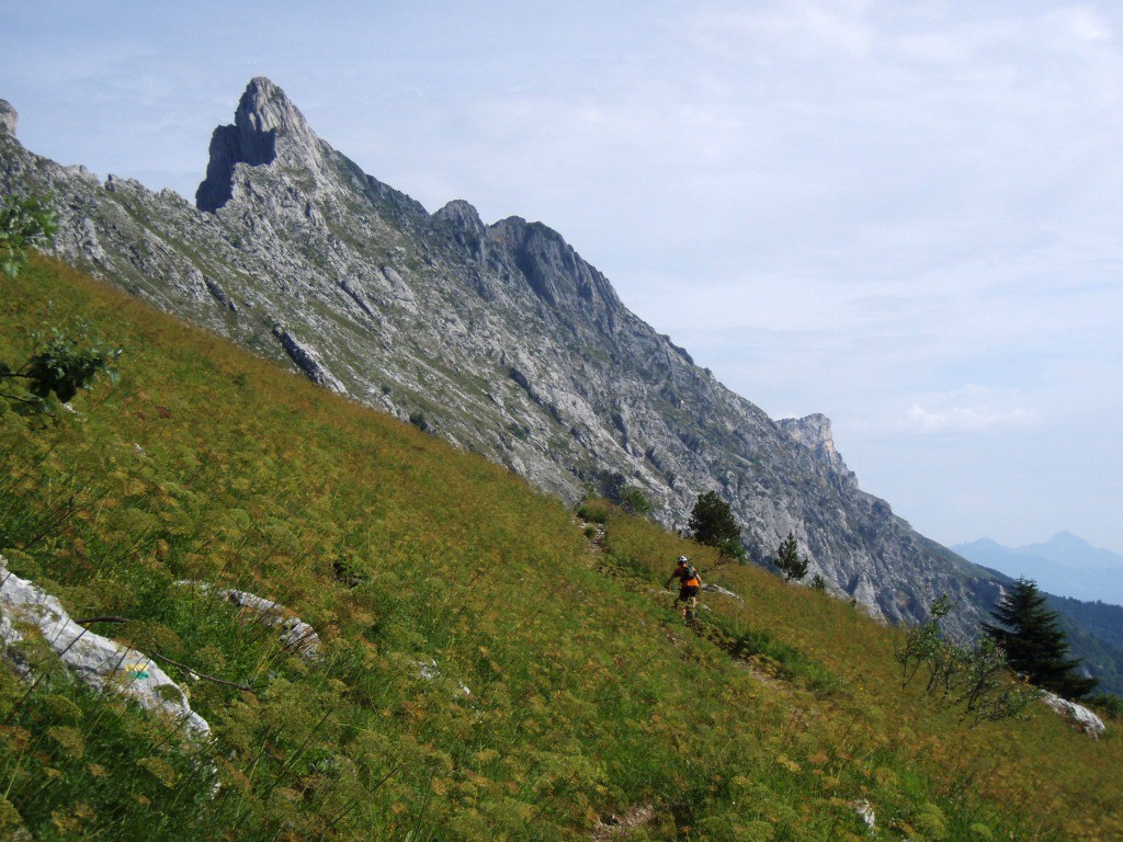 Dans la montée au Col Vert