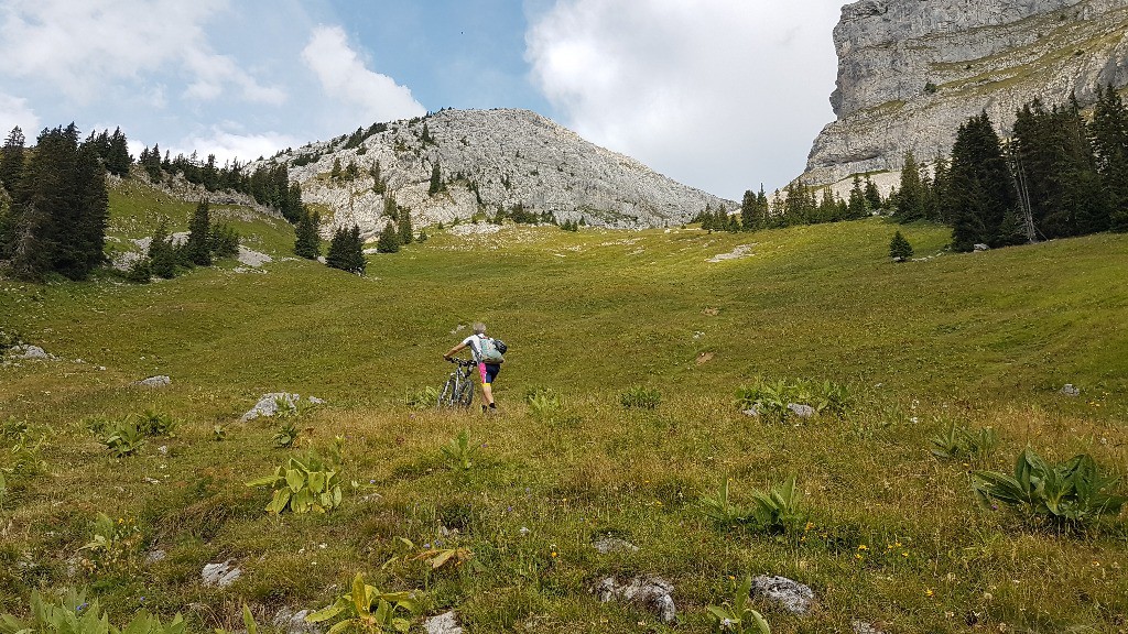 Les pâturages, cyclable à la descente, mais pour la grimpée poussage et portage.