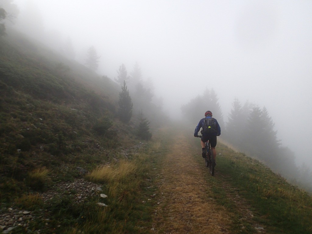 Au dessus des sapins on entre dans le brouillard...