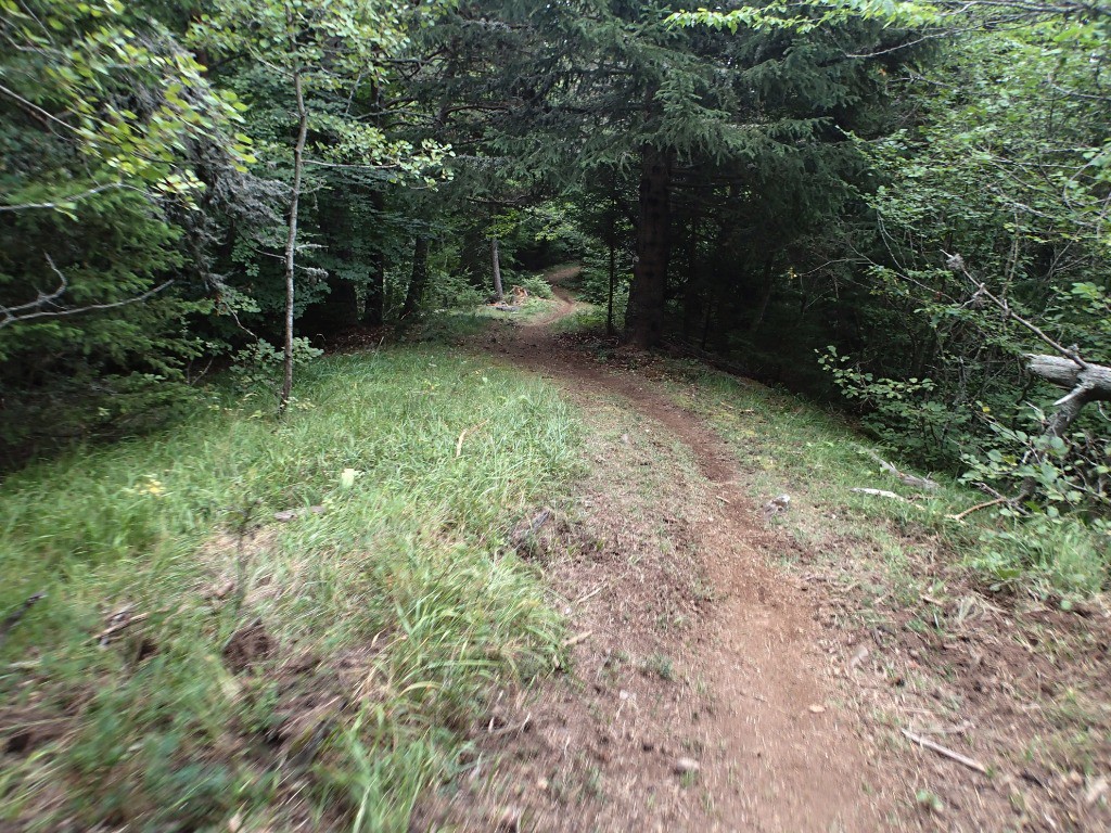 La seule photo que j'ai réussi à faire dans la descente !