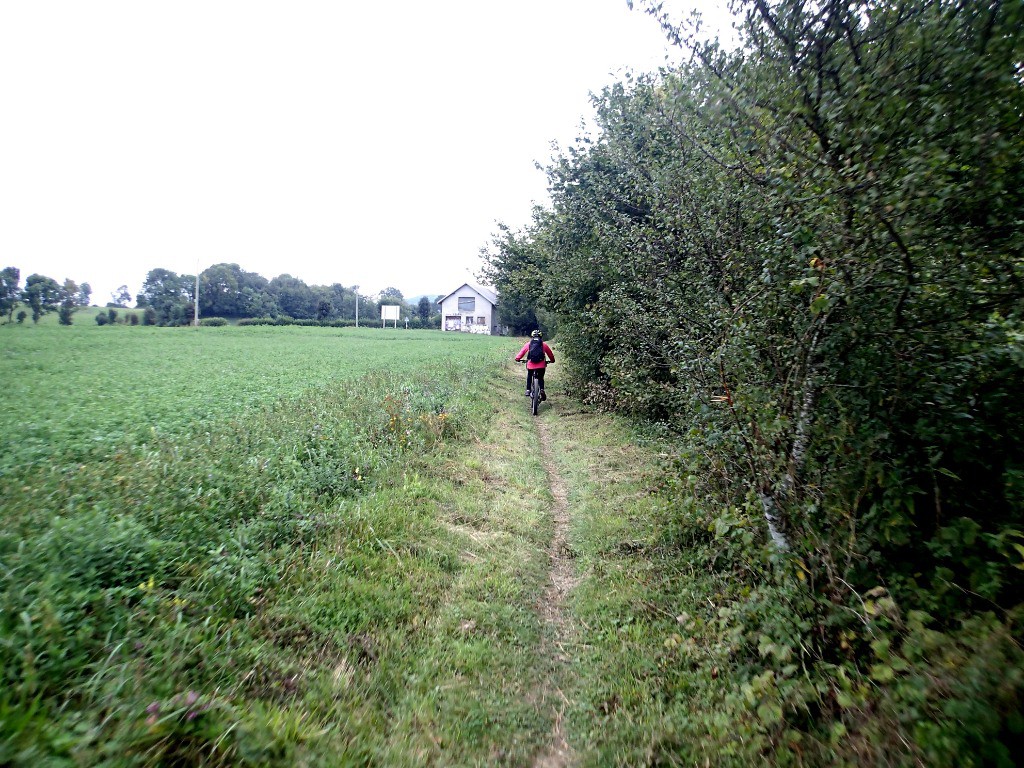 Départ tranquille dans la plaine...