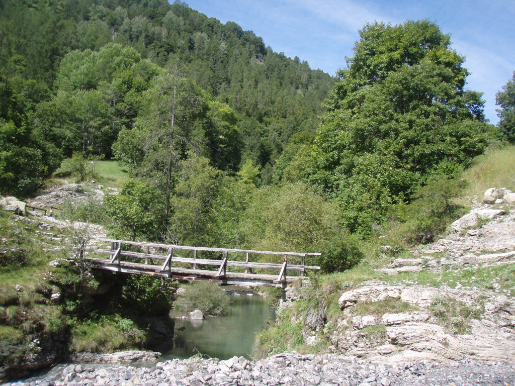 #13 Verdon Verdon