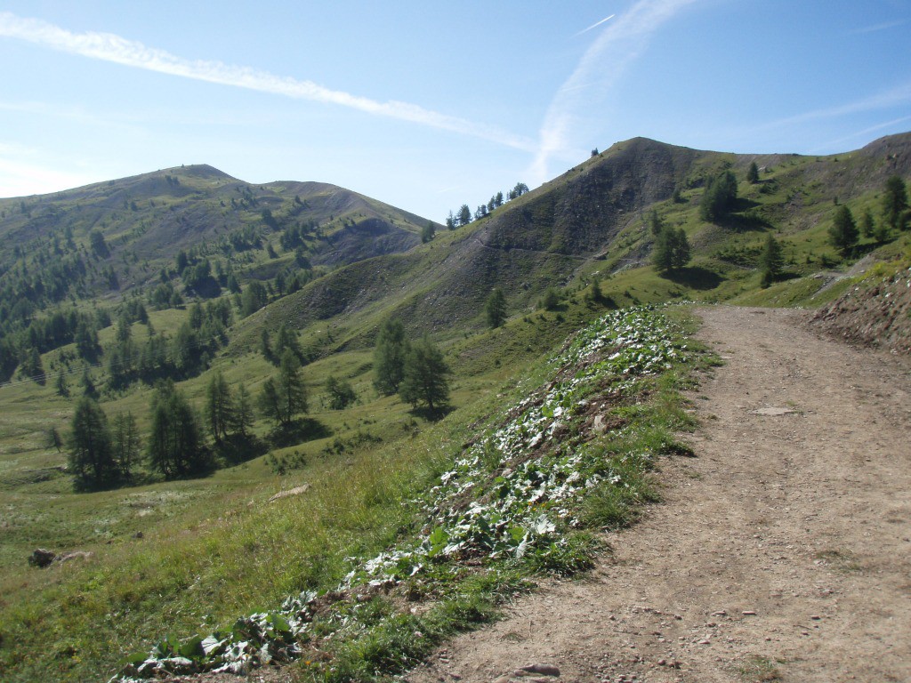 Départ du sentier pour la Baisse de Prenier