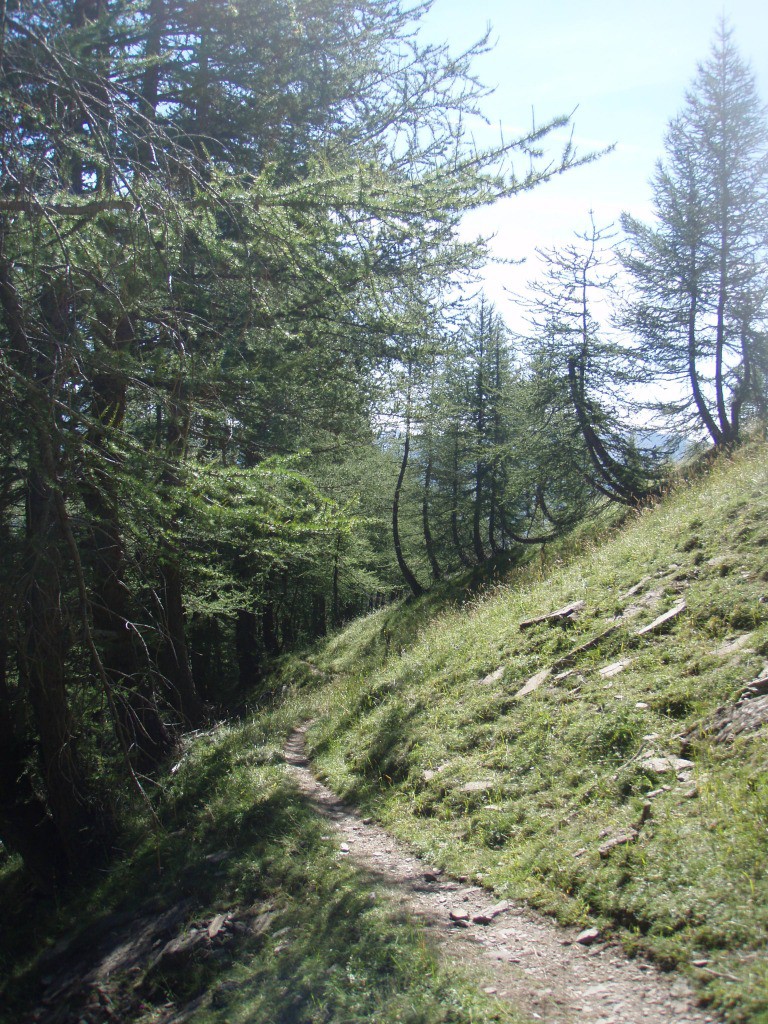 Descente sur Allos