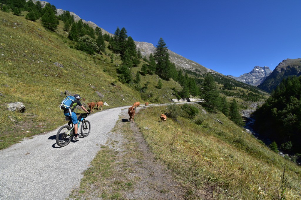 #18 Piste entre l Piste entre l'échalp et le belvédère du Viso